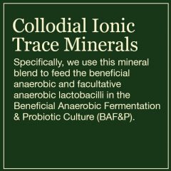 Collodial Ionic Trace Minerals