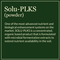 Solu-PLKS powder