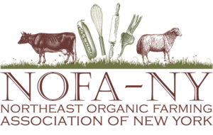 Read Vail Dixon's post on Cover Crops at Northeast Organic Farming Association of New York (NOFA-NY) Field Notes